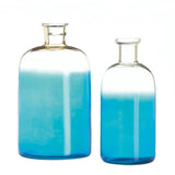 Blue Bottle Vase Set - crazydecor