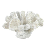 White Coral Decor - DreamyDecor