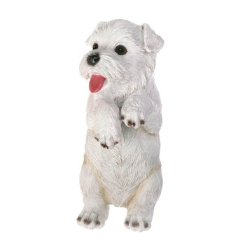 Climbing Cutie White Terrier 