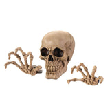 Skeleton Wall Decor Set - crazydecor