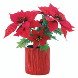 Everlasting Poinsettia Plant - crazydecor