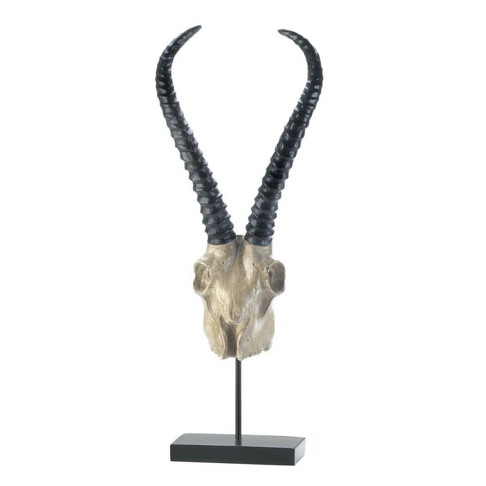 Antelope Skull Tabletop Decor - crazydecor