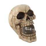 Skull with Lighted Orb - crazydecor