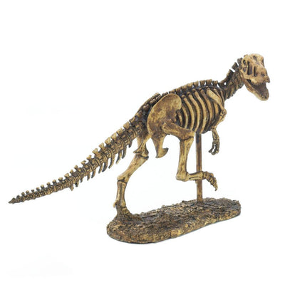 T-Rex Dinosaur Skeleton Statue - crazydecor