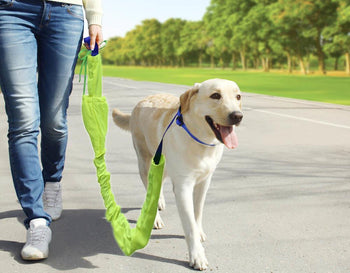 Reflective Dog Leash Set - crazydecor