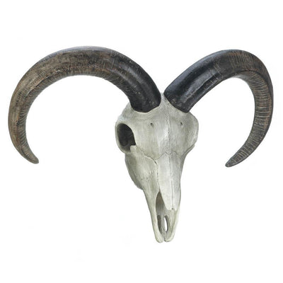 Ram Skull Wall Decor - crazydecor