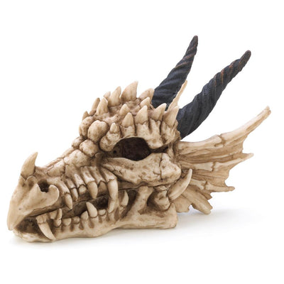 Dragon Skull Treasure Box - crazydecor