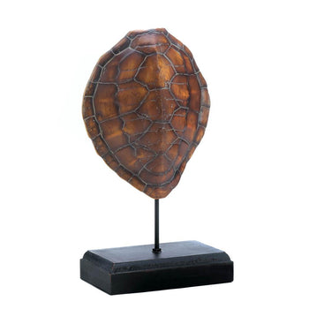 Turtle Shell Museum Decor - crazydecor