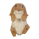 Climbing Golden Bunny Buddy - crazydecor