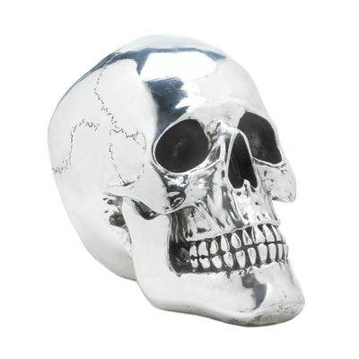 Smiling Silvery Skull - crazydecor