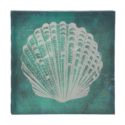 White Seashell Canvas Wall Art - DreamyDecor