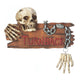 Skeleton Door Knocker - crazydecor