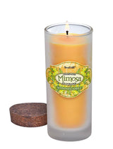 Mimosa Scented Candle - crazydecor