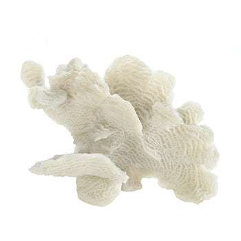 Large White Coral Tabletop Decor - crazydecor