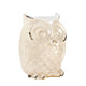 Distressed Owl Figurine - crazydecor