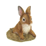 Curious Bunny Garden Decor - crazydecor