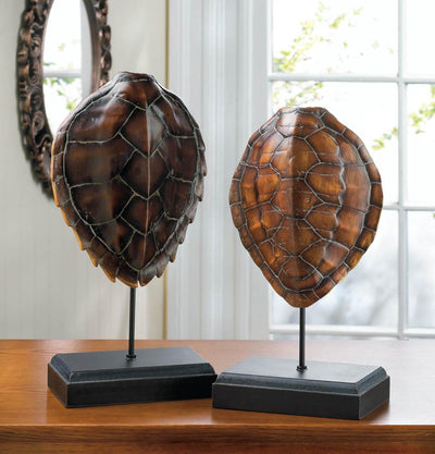 Turtle Shell Museum Decor - crazydecor