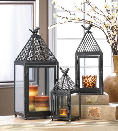 Black Bird Lantern (M) - crazydecor