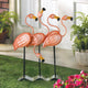 Flock O’ Flamingos Flamingo Decor - crazydecor