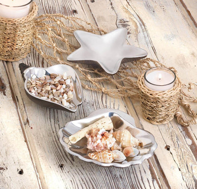 Sea Conch Decorative Dish - crazydecor