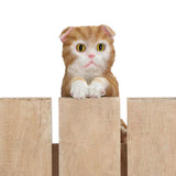 Climbing Curious "Lucy" Kitten Decor - crazydecor