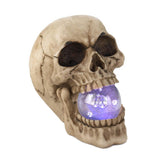 Skull with Lighted Orb - crazydecor