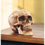 Grinning Skull Figurine - crazydecor