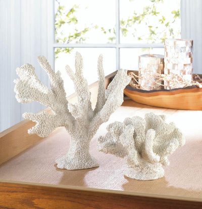 White Coral Decor - DreamyDecor