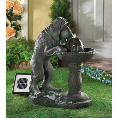 Thirsty Dog Solar Fountain - crazydecor