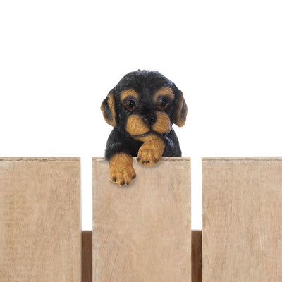 Climbing Cutie Dotson Puppy "Parker" - crazydecor