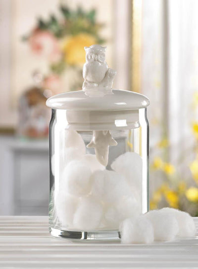 Glass Owl Jar - crazydecor