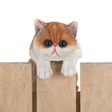 Climbing Big-Eyed Kitten "Giles" Decor - crazydecor