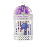 Midnight Wisteria Lantern Spa Set - crazydecor