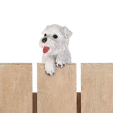 Climbing Cutie White Terrier "Aspen" Pup - crazydecor