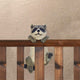 Climbing Curious Raccoon Buddy - crazydecor