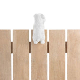 Climbing Cutie White Terrier "Aspen" Pup - crazydecor