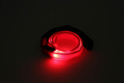 Light-Up Dog Leash - crazydecor